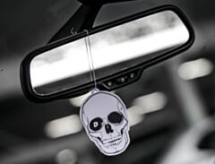 DAY 1 Geurhanger - Skull